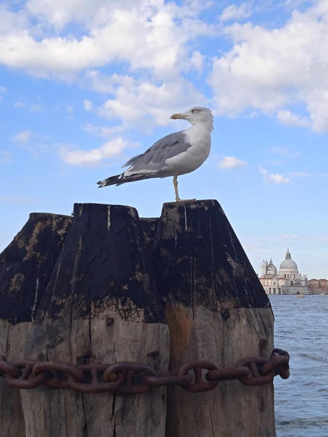 Appartamento Campo Ruga 314 Venice Exterior photo
